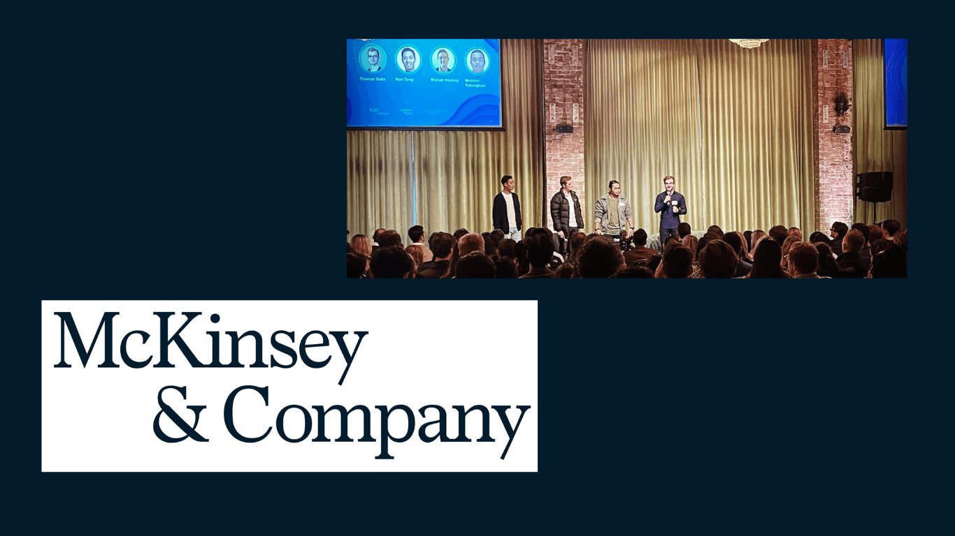 Principal Engineer - McKinsey & Company project
